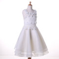 Organza/Chiffon Designer Flower Girl Dress for Wedding and Ceremonial